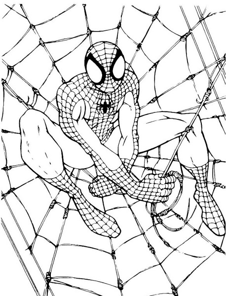 Coloriage Spiderman Spiderman A Imprimer Gratuit
