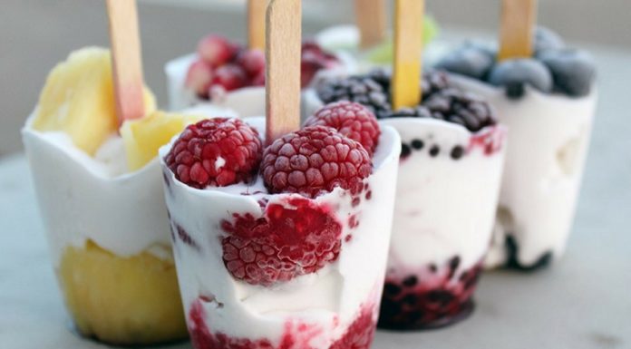 Faire des glaces maison sorbetière ou turbine à glace