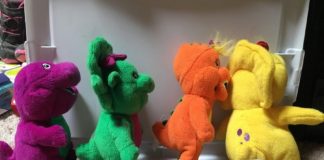 Conseils pour bien choisir une peluche