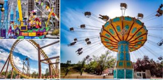 Comment profiter au mieux d'un parc d'attractions